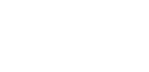 Mr. Handyman